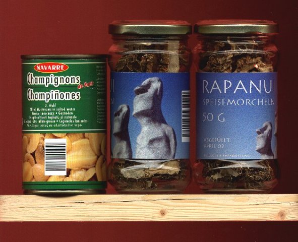 [ &copy; frank bahr ]