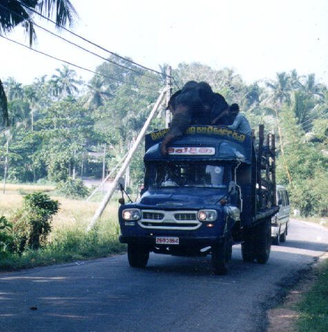 > arbeit ist ein geschenk, das man am besten anderen macht < ouzo 12