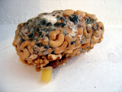 stuttgarter kunstverein | denis prunier