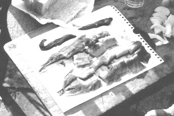 �Filetierter Salzhirsch�, Kleinplastik, 2001